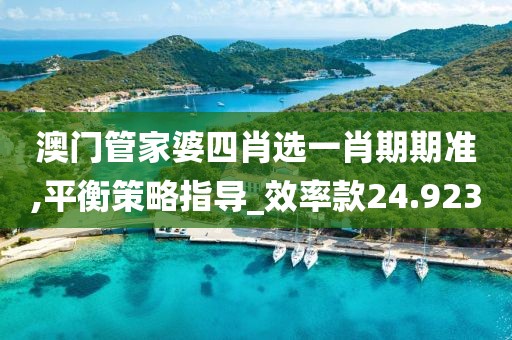 澳門管家婆四肖選一肖期期準(zhǔn),平衡策略指導(dǎo)_效率款24.923