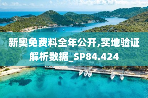 新奧免費料全年公開,實地驗證解析數(shù)據(jù)_SP84.424