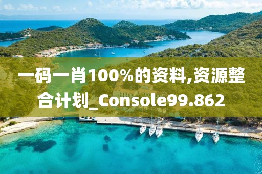 一碼一肖100%的資料,資源整合計劃_Console99.862