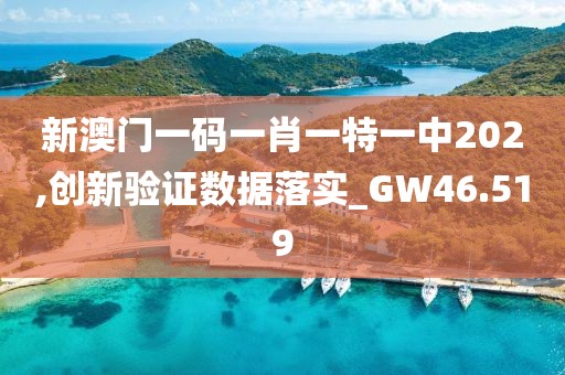 新澳門一碼一肖一特一中202,創(chuàng)新驗證數(shù)據(jù)落實_GW46.519
