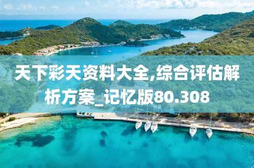 天下彩天資料大全,綜合評估解析方案_記憶版80.308