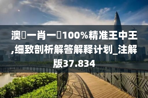 澳門(mén)一肖一碼100%精準(zhǔn)王中王,細(xì)致剖析解答解釋計(jì)劃_注解版37.834