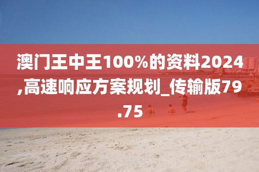 澳門王中王100%的資料2024,高速響應(yīng)方案規(guī)劃_傳輸版79.75
