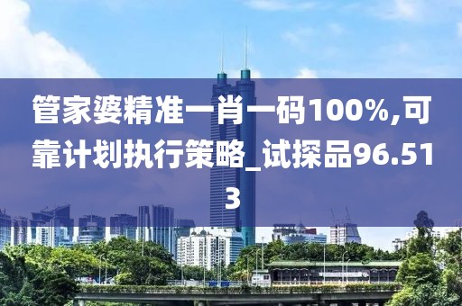 管家婆精準(zhǔn)一肖一碼100%,可靠計(jì)劃執(zhí)行策略_試探品96.513