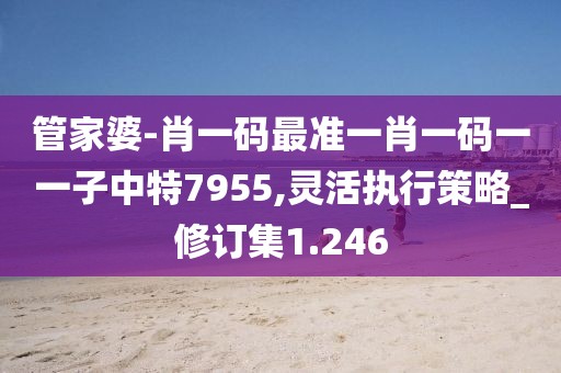 管家婆-肖一碼最準(zhǔn)一肖一碼一一子中特7955,靈活執(zhí)行策略_修訂集1.246