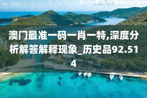 澳門最準(zhǔn)一碼一肖一特,深度分析解答解釋現(xiàn)象_歷史品92.514