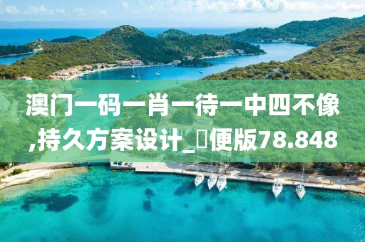 澳門一碼一肖一待一中四不像,持久方案設(shè)計_簡便版78.848