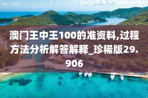 澳門王中王100的準(zhǔn)資料,過程方法分析解答解釋_珍稀版29.906