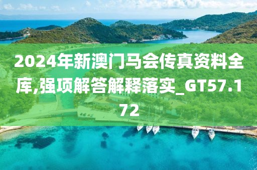 2024年新澳門馬會傳真資料全庫,強(qiáng)項(xiàng)解答解釋落實(shí)_GT57.172