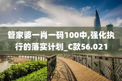 管家婆一肖一碼100中,強(qiáng)化執(zhí)行的落實(shí)計(jì)劃_C款56.021