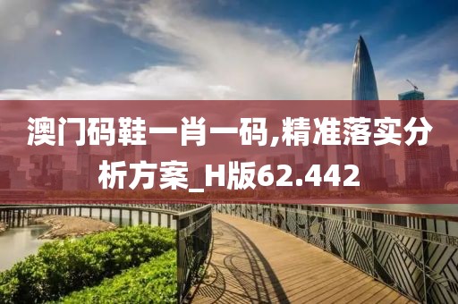 澳門碼鞋一肖一碼,精準(zhǔn)落實(shí)分析方案_H版62.442