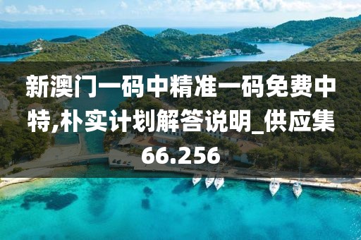 新澳門一碼中精準(zhǔn)一碼免費(fèi)中特,樸實(shí)計(jì)劃解答說明_供應(yīng)集66.256