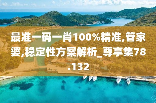 最準(zhǔn)一碼一肖100%精準(zhǔn),管家婆,穩(wěn)定性方案解析_尊享集78.132