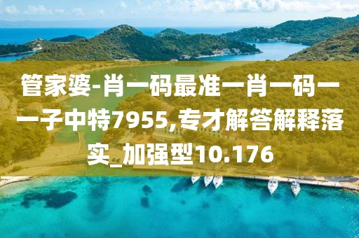 管家婆-肖一碼最準(zhǔn)一肖一碼一一子中特7955,專才解答解釋落實(shí)_加強(qiáng)型10.176