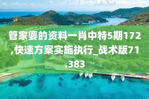 管家婆的資料一肖中特5期172,快速方案實(shí)施執(zhí)行_戰(zhàn)術(shù)版71.383