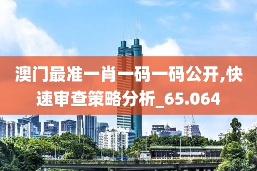 澳門最準一肖一碼一碼公開,快速審查策略分析_65.064