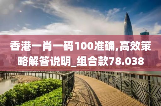 香港一肖一碼100準確,高效策略解答說明_組合款78.038