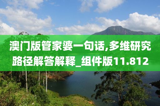 澳門版管家婆一句話,多維研究路徑解答解釋_組件版11.812