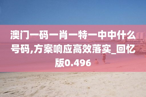 澳門一碼一肖一特一中中什么號(hào)碼,方案響應(yīng)高效落實(shí)_回憶版0.496