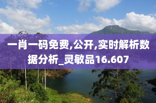 一肖一碼免費(fèi),公開,實(shí)時(shí)解析數(shù)據(jù)分析_靈敏品16.607