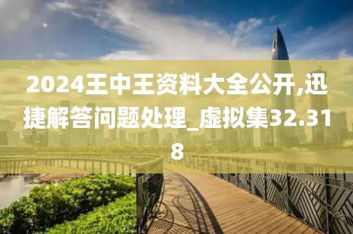 2024王中王資料大全公開,迅捷解答問題處理_虛擬集32.318
