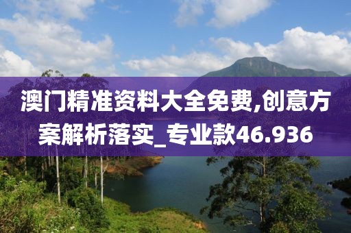 澳門精準(zhǔn)資料大全免費(fèi),創(chuàng)意方案解析落實(shí)_專業(yè)款46.936