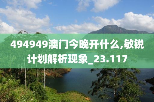 494949澳門今晚開什么,敏銳計劃解析現(xiàn)象_23.117