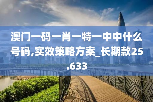 澳門一碼一肖一特一中中什么號碼,實效策略方案_長期款25.633