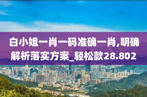 白小姐一肖一碼準確一肖,明確解析落實方案_輕松款28.802