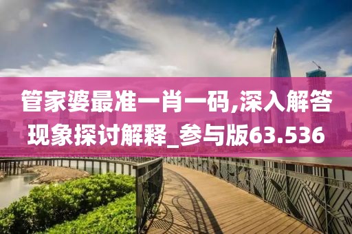 管家婆最準(zhǔn)一肖一碼,深入解答現(xiàn)象探討解釋_參與版63.536