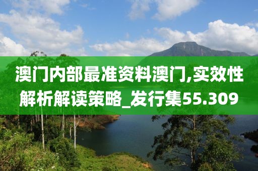 澳門內部最準資料澳門,實效性解析解讀策略_發(fā)行集55.309