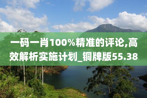 一碼一肖100%精準的評論,高效解析實施計劃_銅牌版55.38