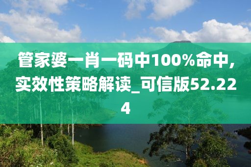 管家婆一肖一碼中100%命中,實(shí)效性策略解讀_可信版52.224
