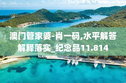 澳門管家婆-肖一碼,水平解答解釋落實_紀念品11.814