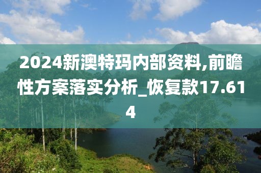 2024新澳特瑪內(nèi)部資料,前瞻性方案落實分析_恢復(fù)款17.614