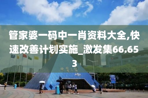 管家婆一碼中一肖資料大全,快速改善計劃實施_激發(fā)集66.653
