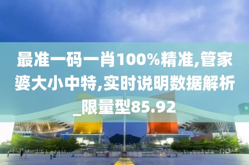 最準(zhǔn)一碼一肖100%精準(zhǔn),管家婆大小中特,實(shí)時(shí)說明數(shù)據(jù)解析_限量型85.92