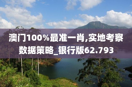 澳門100%最準一肖,實地考察數(shù)據(jù)策略_銀行版62.793