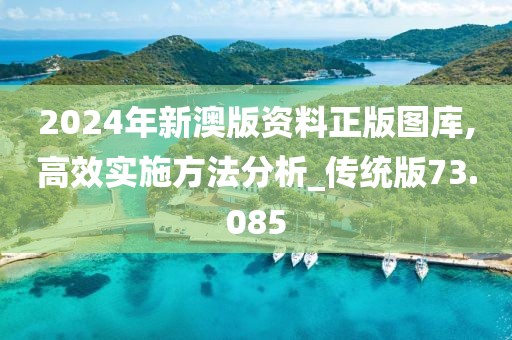 2024年新澳版資料正版圖庫,高效實(shí)施方法分析_傳統(tǒng)版73.085