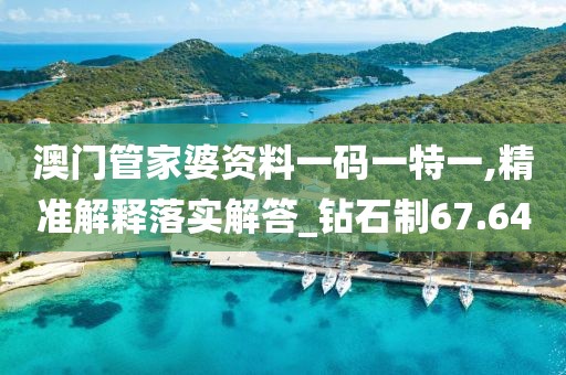 澳門管家婆資料一碼一特一,精準(zhǔn)解釋落實(shí)解答_鉆石制67.64
