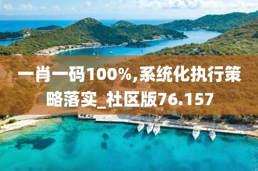 一肖一碼100%,系統(tǒng)化執(zhí)行策略落實(shí)_社區(qū)版76.157