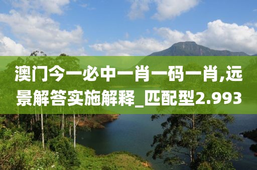 澳門(mén)今一必中一肖一碼一肖,遠(yuǎn)景解答實(shí)施解釋_匹配型2.993