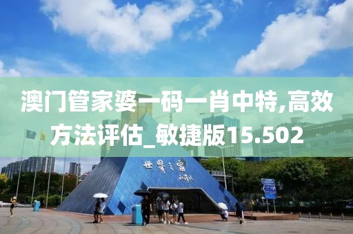 澳門管家婆一碼一肖中特,高效方法評(píng)估_敏捷版15.502