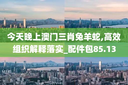 今天晚上澳門(mén)三肖兔羊蛇,高效組織解釋落實(shí)_配件包85.13