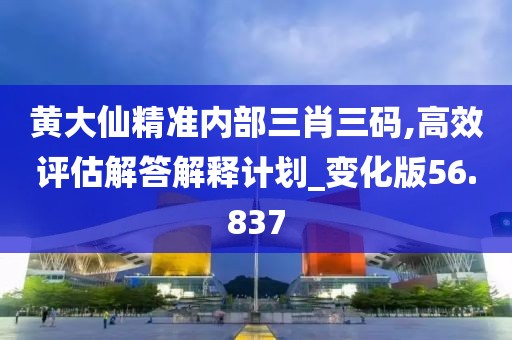 黃大仙精準內部三肖三碼,高效評估解答解釋計劃_變化版56.837