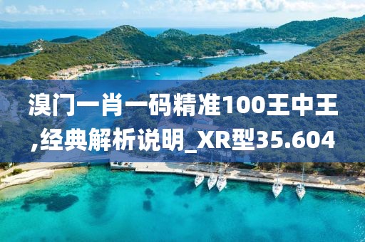 溴門一肖一碼精準(zhǔn)100王中王,經(jīng)典解析說明_XR型35.604