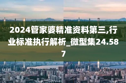 2024管家婆精準資料第三,行業(yè)標準執(zhí)行解析_微型集24.587