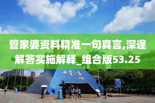管家婆資料精準(zhǔn)一句真言,深邃解答實(shí)施解釋_組合版53.25