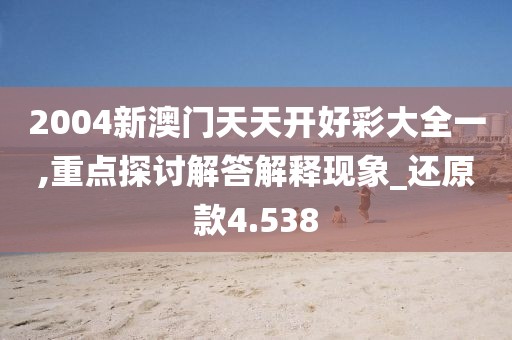 2004新澳門天天開好彩大全一,重點(diǎn)探討解答解釋現(xiàn)象_還原款4.538