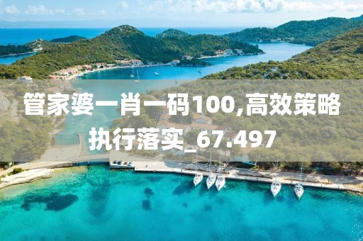管家婆一肖一碼100,高效策略執(zhí)行落實(shí)_67.497